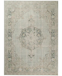 Amer Rugs Century Cen-21 Aqua 7'10" x 10'6" Area Rug