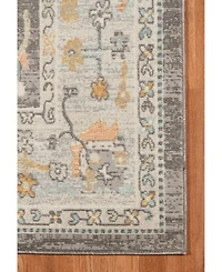 Amer Rugs Bohemian Bhm-2 Taupe 5'1" x 7'6" Outdoor Area Rug