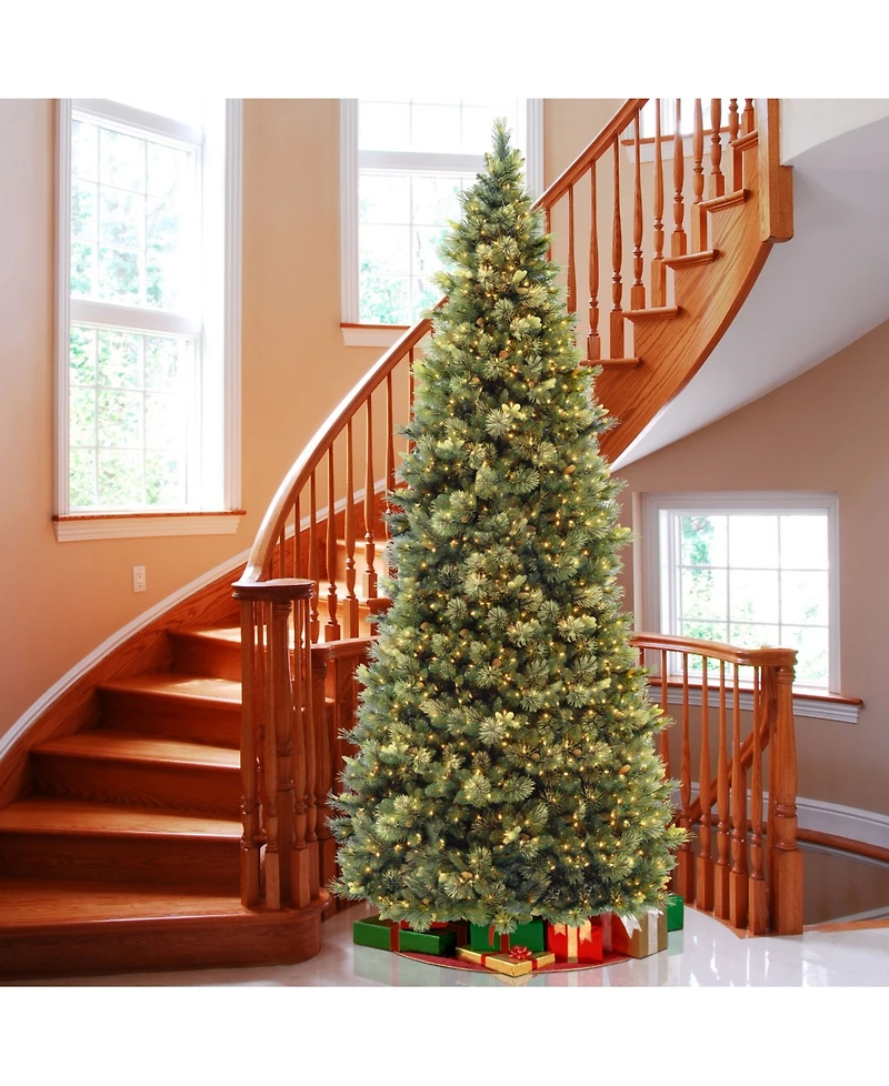 National Tree Company 10' Carolina Pine Slim Wrapped Tree with Flocked Cones & Clear Lights