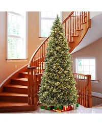 National Tree Company 10' Carolina Pine Slim Wrapped Tree with Flocked Cones & Clear Lights