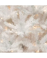 National Tree Company 6.5' Winchester White Pine Tree with 400 Clear Lights