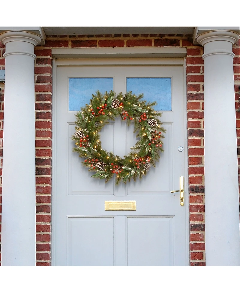National Tree Company 24" Frosted Pine Berry Collection Wreaths with Cones, Red Berries, Silver Glittered Eucalyptus Leaves & Warm White Battery Opera