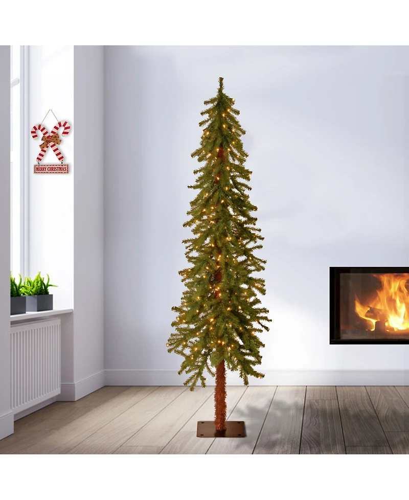 National Tree Company 6' Hickory Cedar Tree w/ 200 Clear Lights