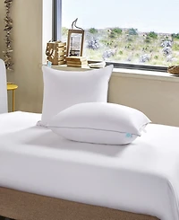 Martha Stewart Premium Down Pillow, Jumbo