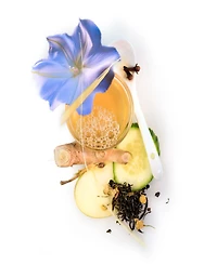 Red Flower Moonflower Purifying Body Wash, 10.2 oz.