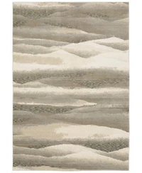 Oriental Weavers Evolution 0982c Rug