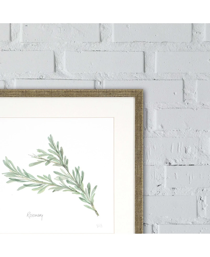 Paragon Herbs Framed Wall Art Set of 4, 17" x 17"