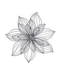 Modern Floral Wall Decor