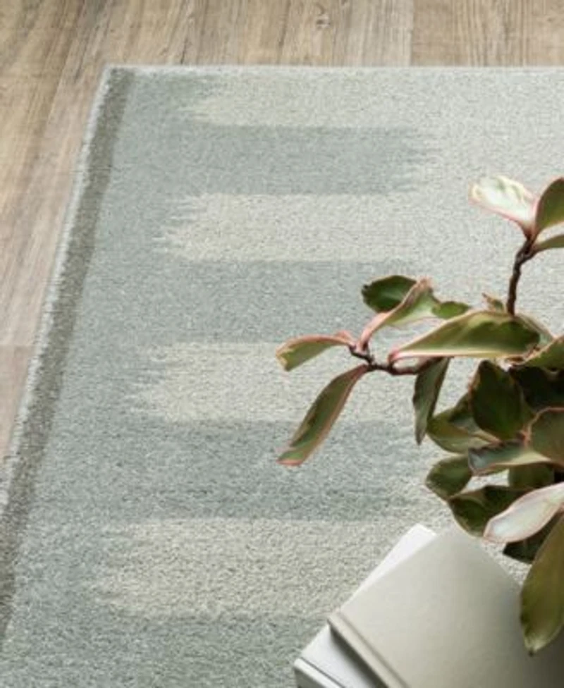 Oriental Weavers Branson Bra09 Area Rugs