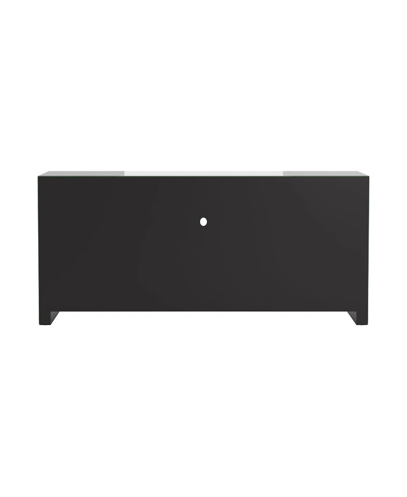 2-Door Tv Console