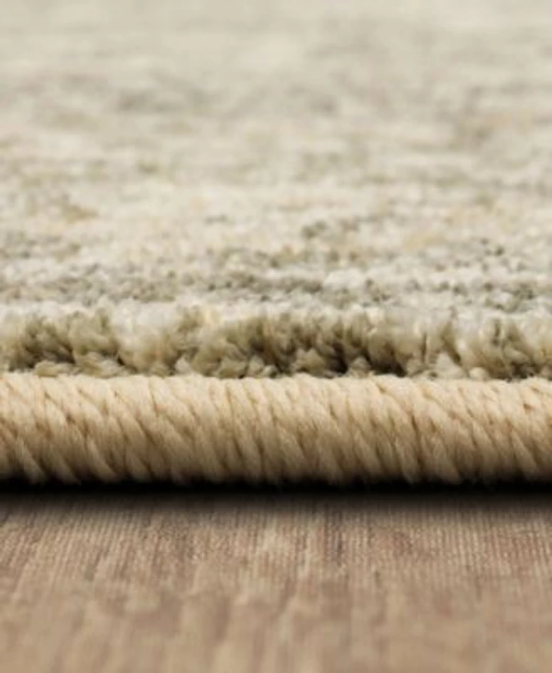 Closeout Karastan Touchstone Le Jardin Area Rug