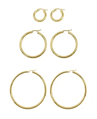Adornia Hoop Earring Set