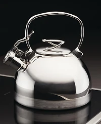 Circulon Stainless Steel 2-Qt. Whistling Teakettle with Flip-Up Spout