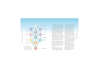 The Chakra Bible