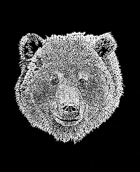 Men's Word Art Bear Face T-shirt