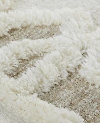 Feizy Anica R8011 2' x 3' Area Rug