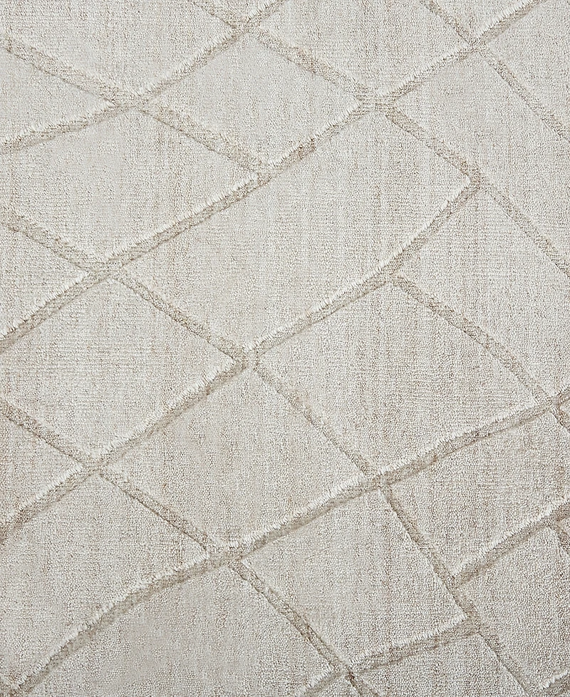 Feizy Redford R8846 2' x 3' Area Rug
