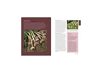 Rosemary Gladstar's Medicinal Herbs: A Beginner's Guide: 33 Healing Herbs to Know, Grow, and Use by Rosemary Gladstar
