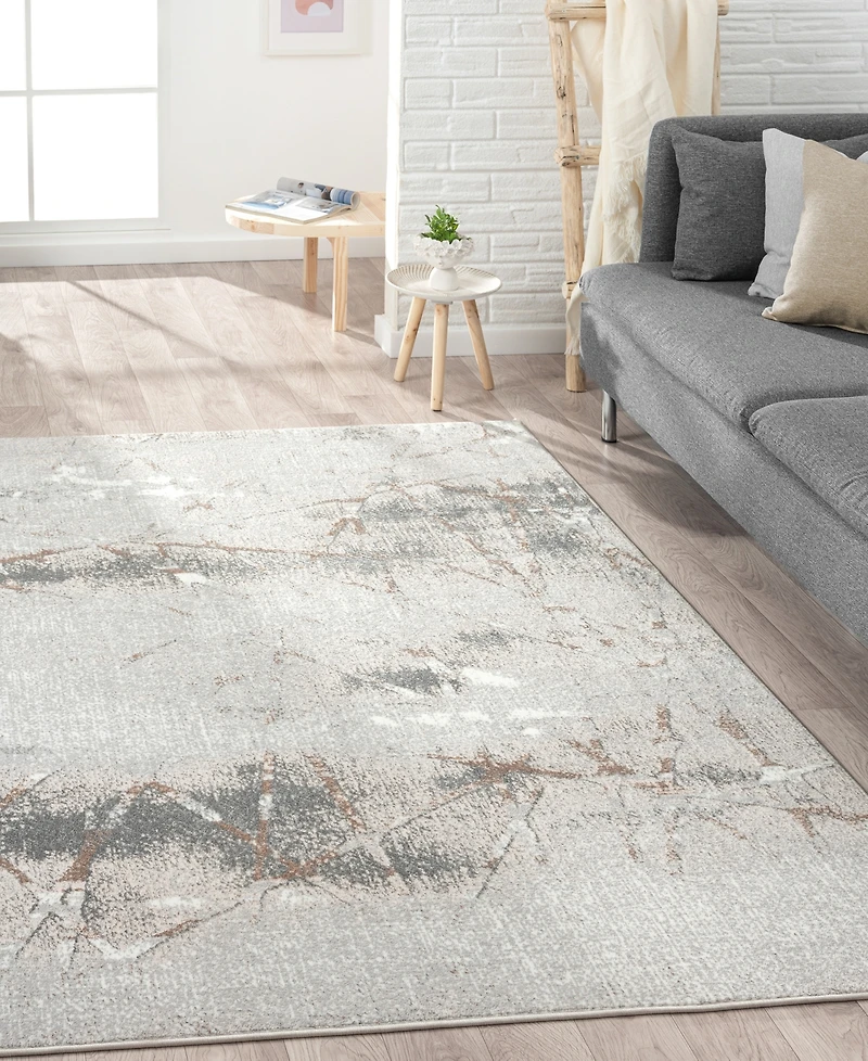 Lr Home Atlas Atl-820 5' x 7' Area Rug