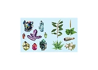 Sticker Studio - Apothecary