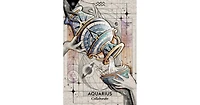 Starcodes Astro Oracle