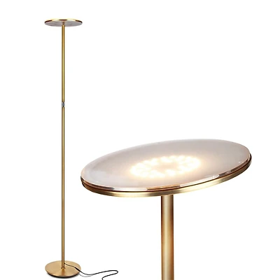 Sky 63" Super Bright Led Torchiere Modern Floor Lamp with Adjustable Head