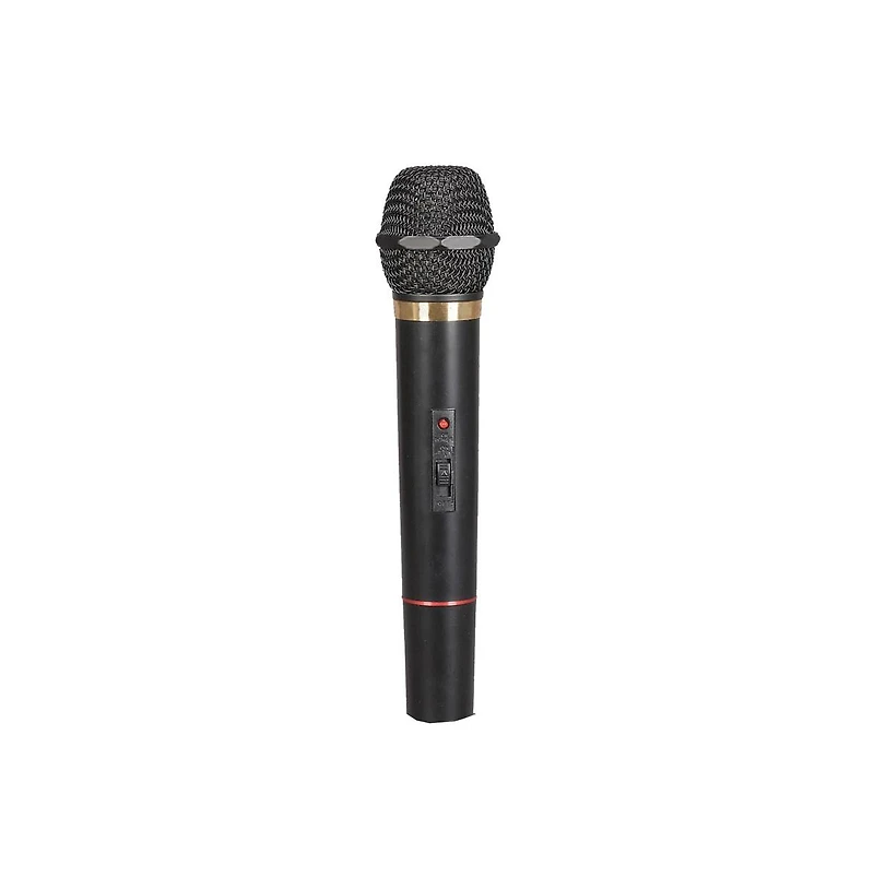 Supersonic Professional Dual Wireless Microphone System