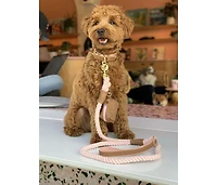 PoisePup Pet Dog 5ft Long Leash - Bella Rose