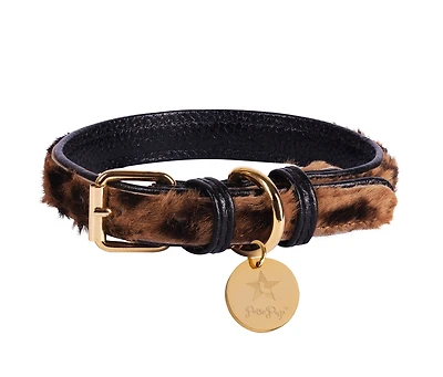 PoisePup Pet Dog Collar - Wildest One