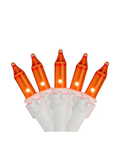 Northlight 100-Count Mini Christmas Lights with Wire Set, 20.25'