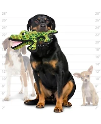 Tuffy Medium Ocean Creature Alligator, Dog Toy