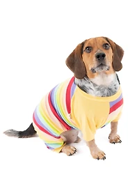 Leveret Dog Cotton Pajama Striped Colorful Girls