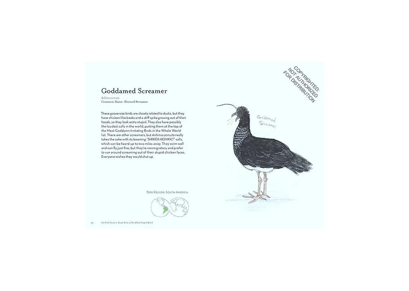 The Field Guide to Dumb Birds of the Whole Stupid World by Matt Kracht