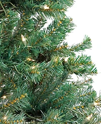 National Tree Company Acacia Pre-lit Christmas with 300 Clear Incandescent or Multicolor Lights, 6'