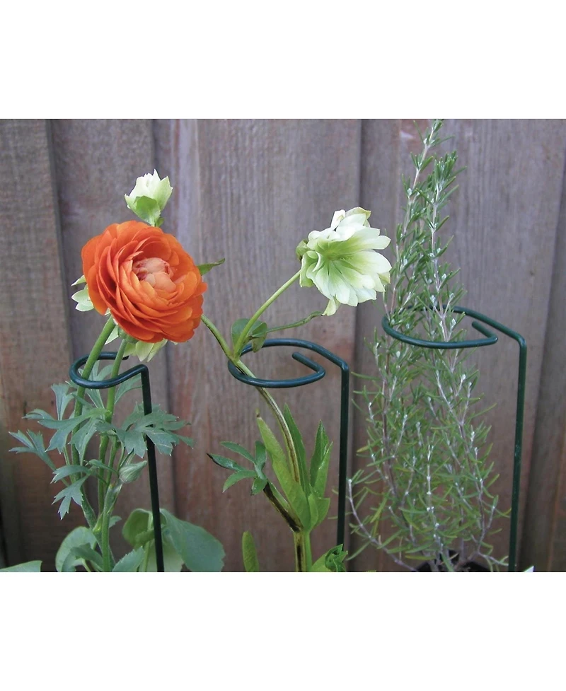 Luster Leaf Inc 985 44 Plant Prop
