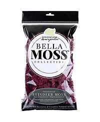 Bella Moss Preserved Reindeer Moss, Sangria, 80 cu in.