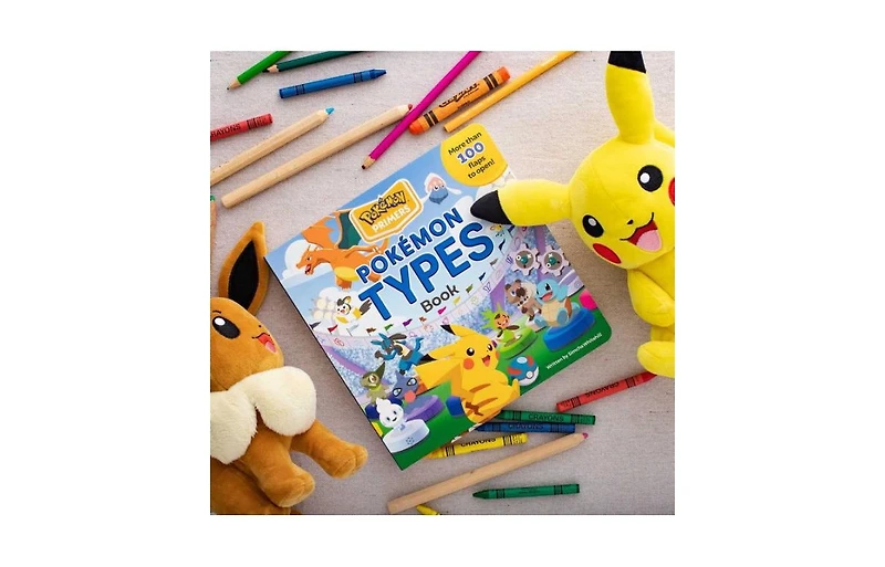 Pokemon Primers- Types Book by Simcha Whitehill