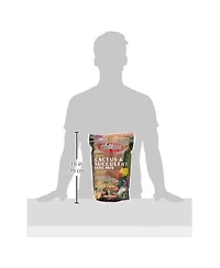 Hoffman A H Inc/Good Earth Hoffman 10404 Organic Cactus and Succulent Soil Mix, 4 Quarts