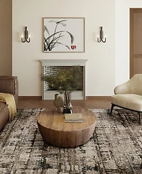 Dalyn Denizi DZ3 5'3" x 7'8" Area Rug