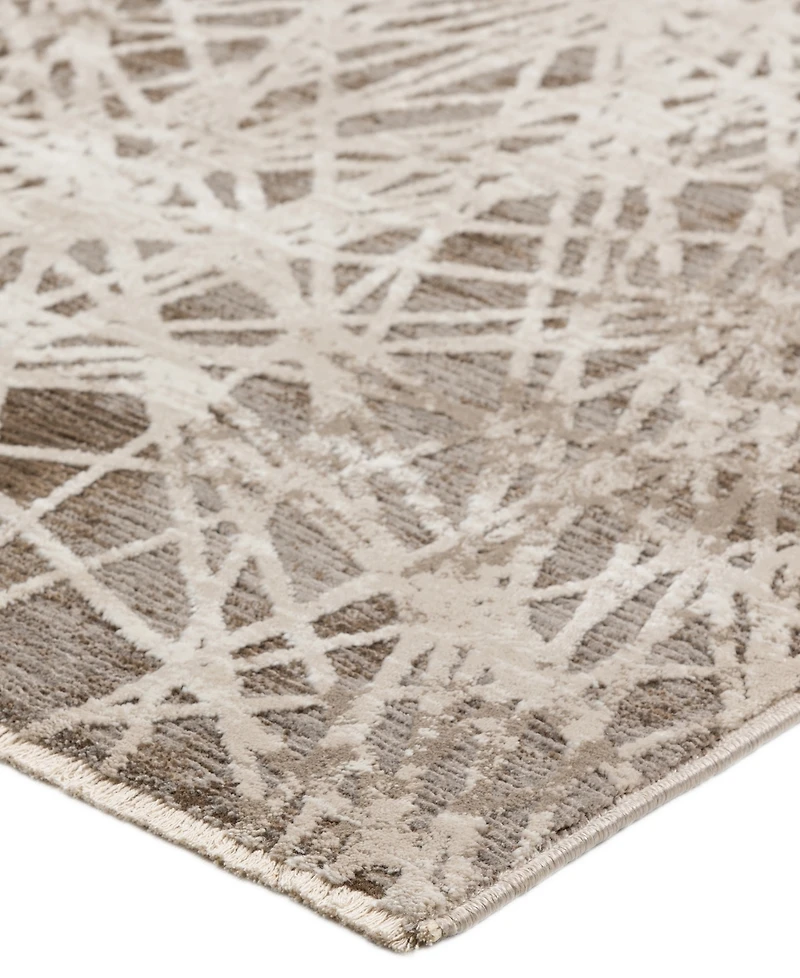 Dalyn Denizi DZ4 5'3" x 7'8" Area Rug