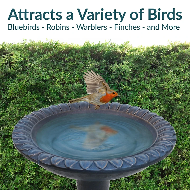 Sunnydaze Decor Outdoor Glass Fiber Reinforced Concrete Patio Garden Facade du Soleil Bird Bath - 26"