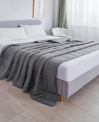 Dream Theory Cotton Weighted 15 lbs Blanket, Twin