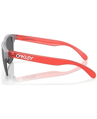 Oakley Men's Sunglasses, Frogskins Lite