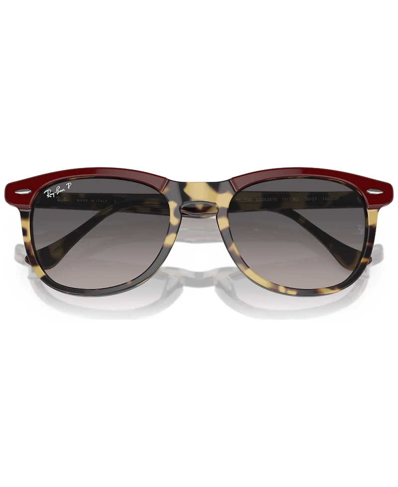Ray-Ban Unisex Eagle Eye Polarized Sunglasses, RB239853-yp 53