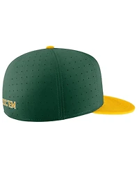 Men's Nike Green Baylor Bears Aero True Baseball Performance Fitted Hat