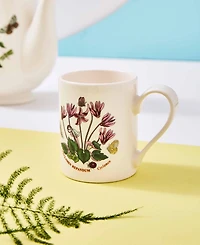 Portmeirion Botanic Garden Assorted Mugs, Set of 6