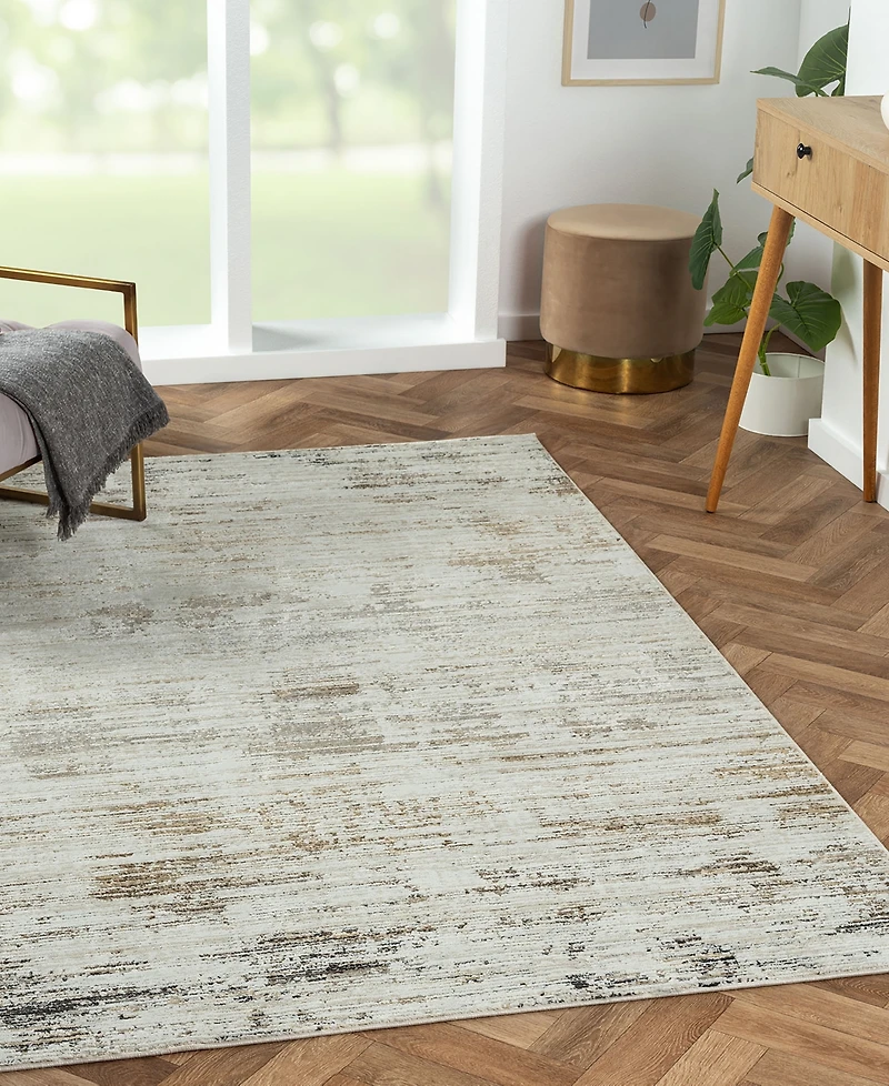 Lr Home Bienne BIENA288 4' x 6' Area Rug