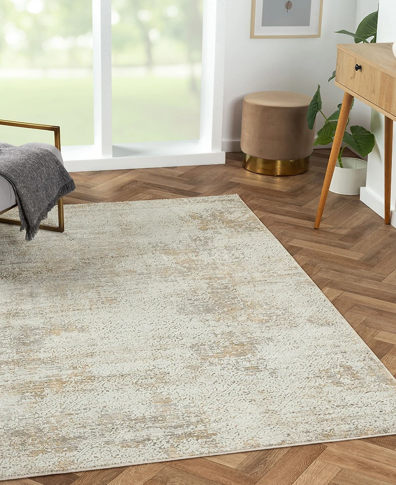 Lr Home Bienne BIENA283 7'9" x 9'9" Area Rug