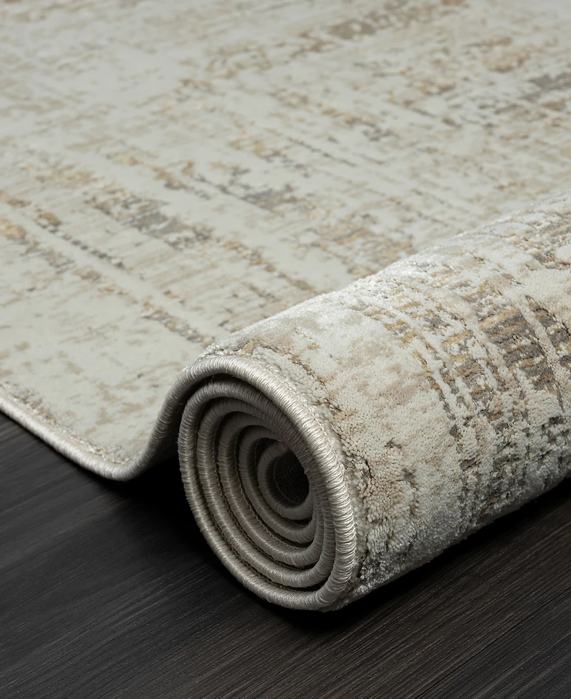 Lr Home Bienne BIENA284 4' x 6' Area Rug