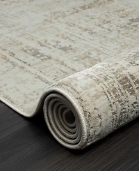 Lr Home Bienne BIENA284 4' x 6' Area Rug